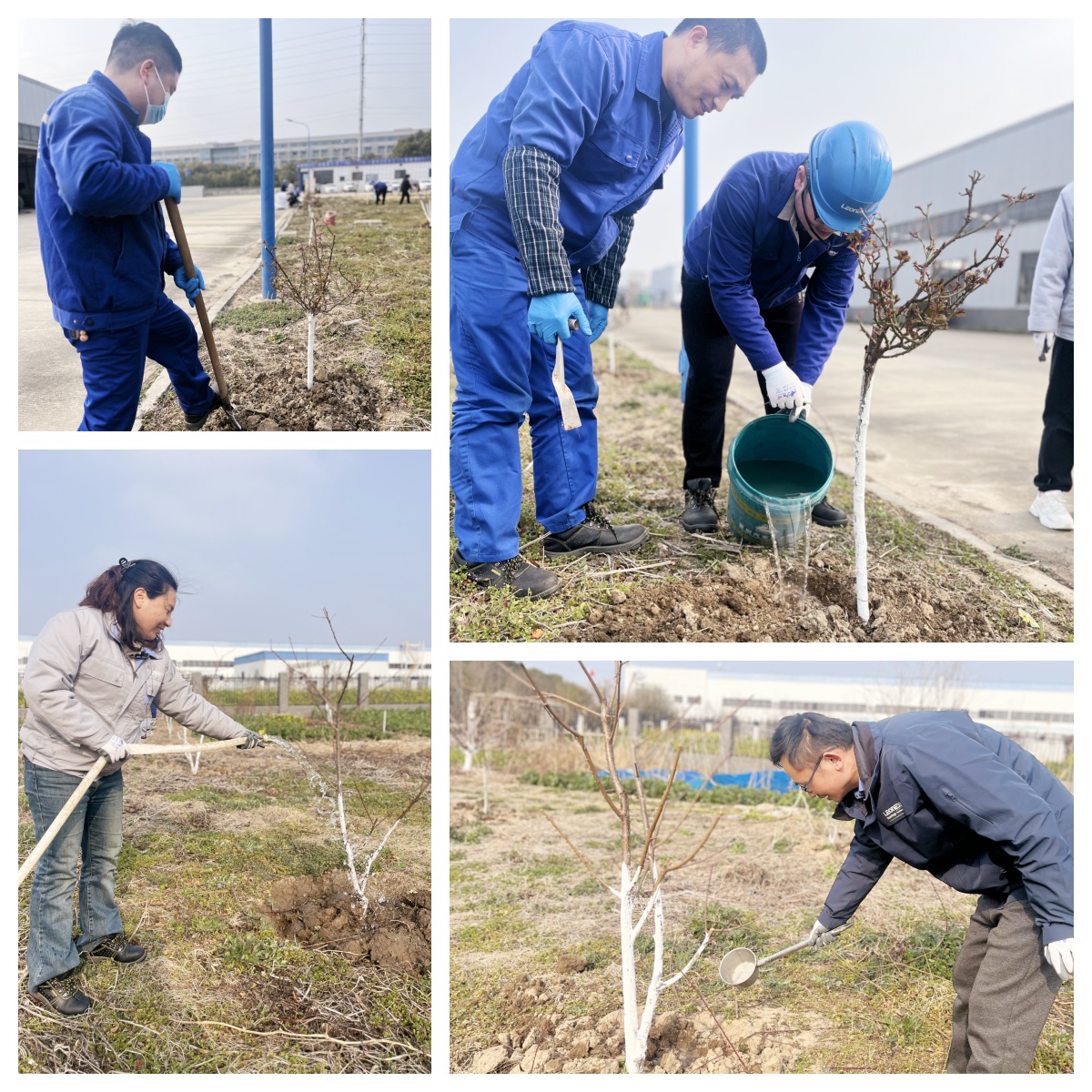 植树-2.jpg